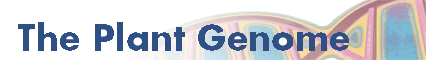 plant genome banner