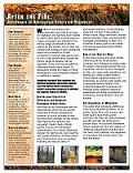 Post-wildfire soil management