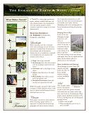 The Essence of Earth and Wine: Terroir