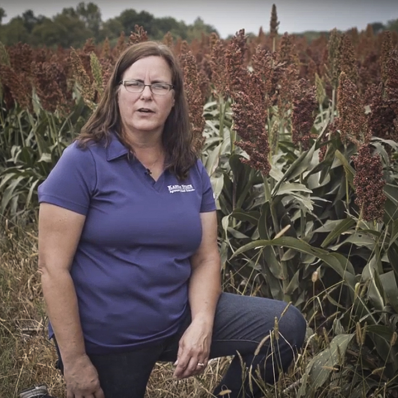 Anita kneeling near field of sorghum.