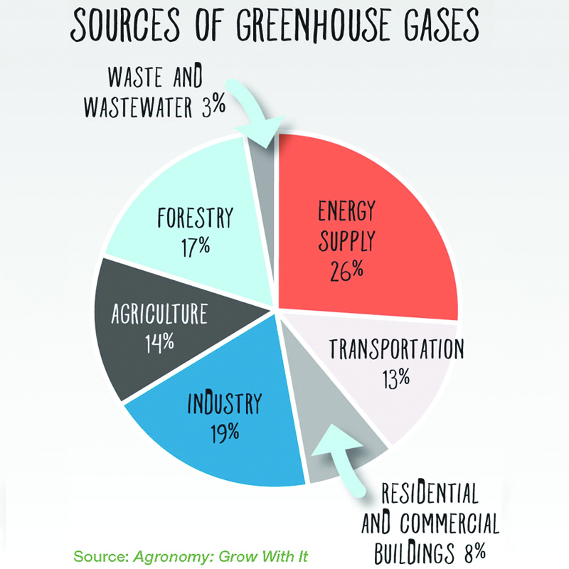 Sources of greenhouse gases infographic.