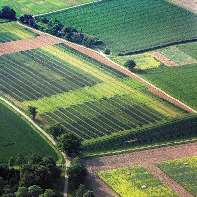 Long-Term Field Experiments Around the World