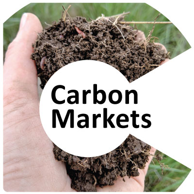 Carbon Market C