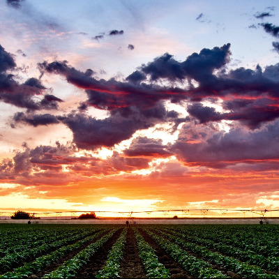 Furrows to Heaven Photo by Derrick Munn, CCA