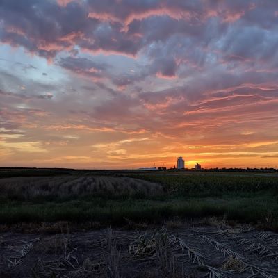 sunset over a farm