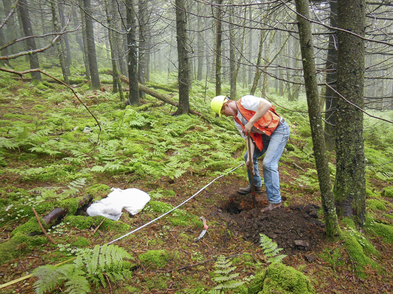 Man taking soil sample in forest.