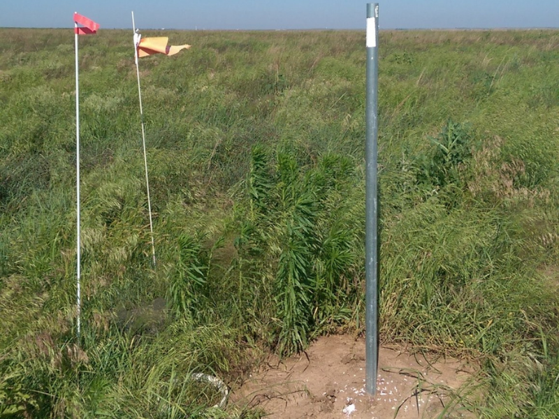 three stakes in tallgrass prairie field