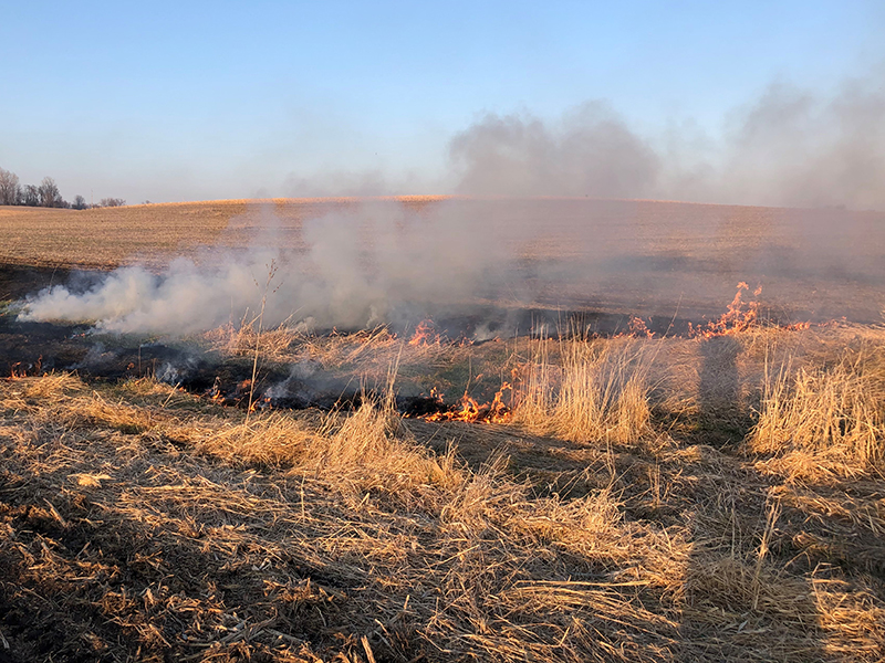 Controlled burn in field