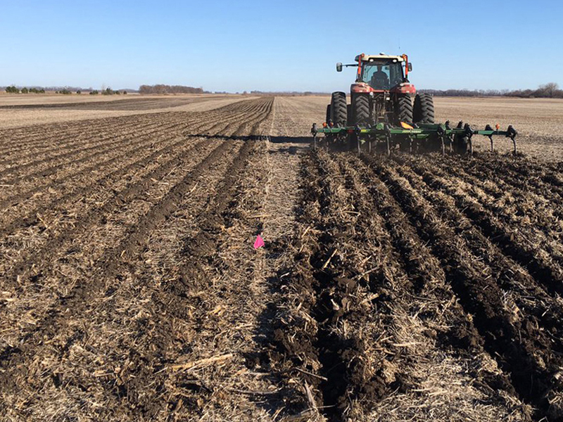 Tractor and implement tilling field.