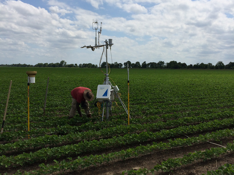 Tech station if field of crops