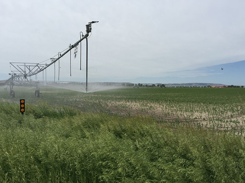 irrigation pivot