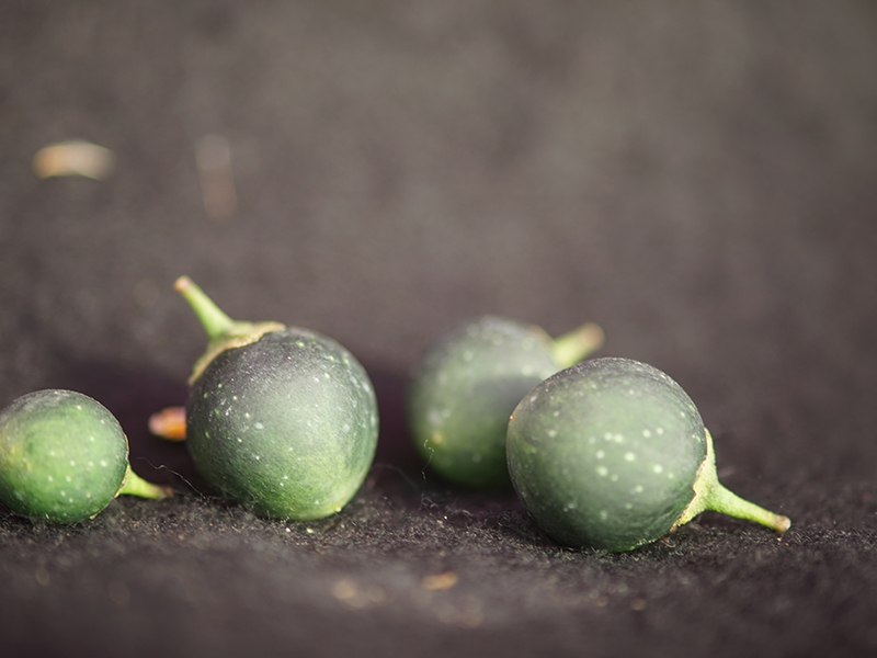 three small pieces of fruit of wild potato variety