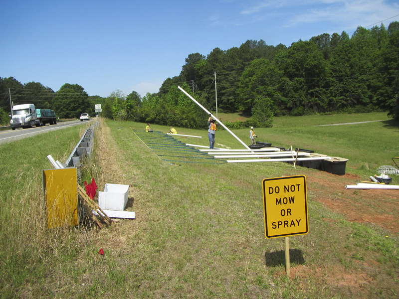 View of study site next to highway