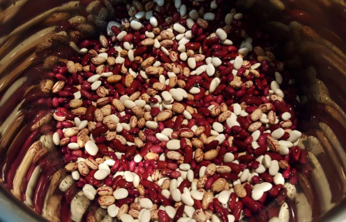 beans in a bowl