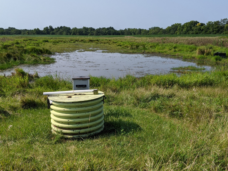 small wetland in field with tile drainage pipe in foreground