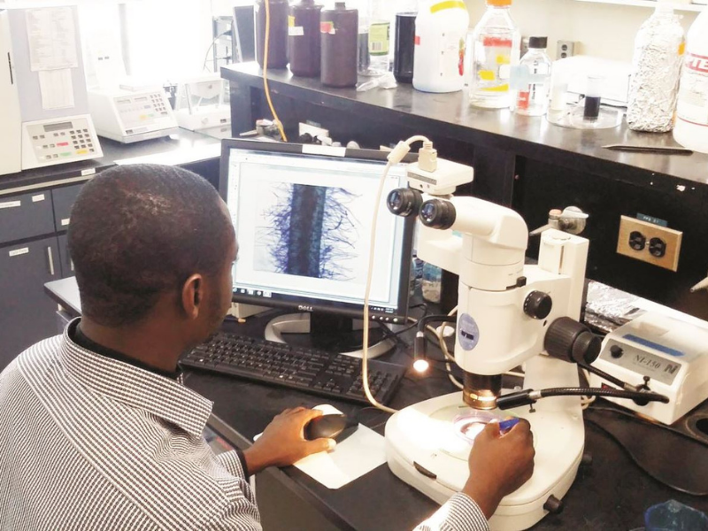 male scientist in lab using computer and microscope to examine root hairs on cowpea seedling