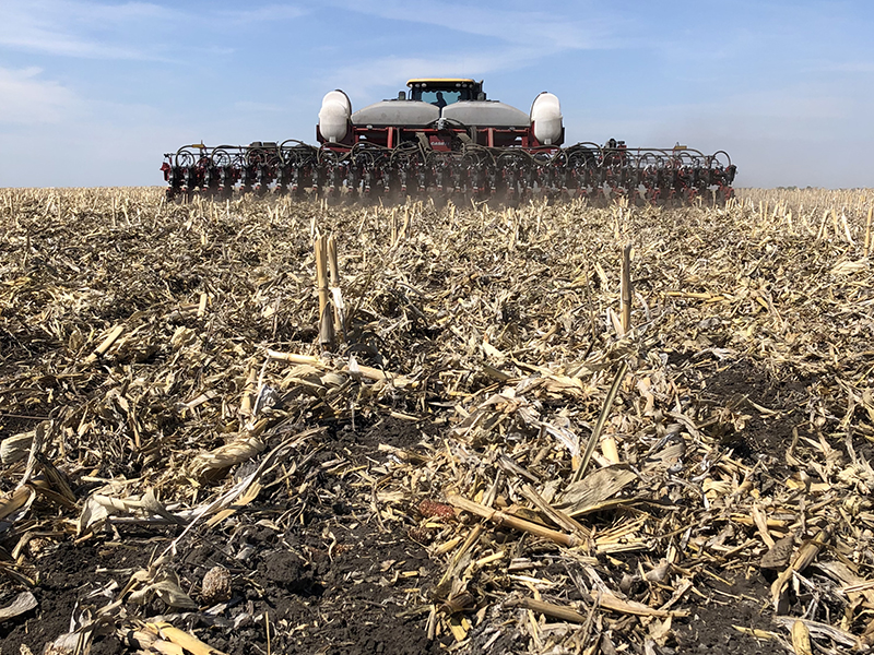 large tractor planting soybeans into field of corn residue