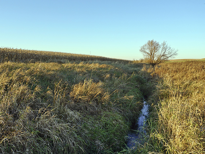 stream in natural area between fields.