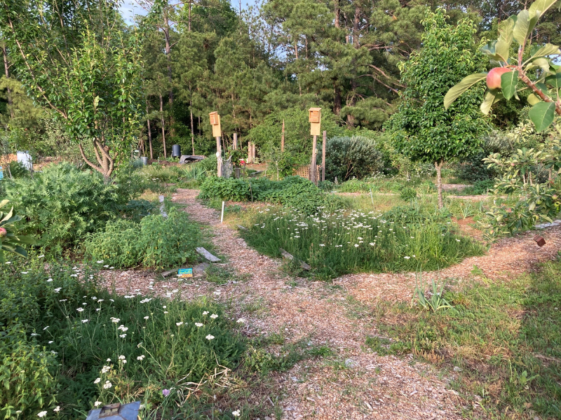 urban community garden with walking path, flowers and trees