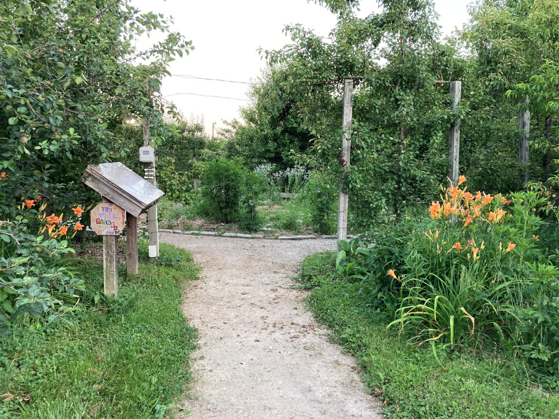 urban community garden entrance with walking path, flowers and trees