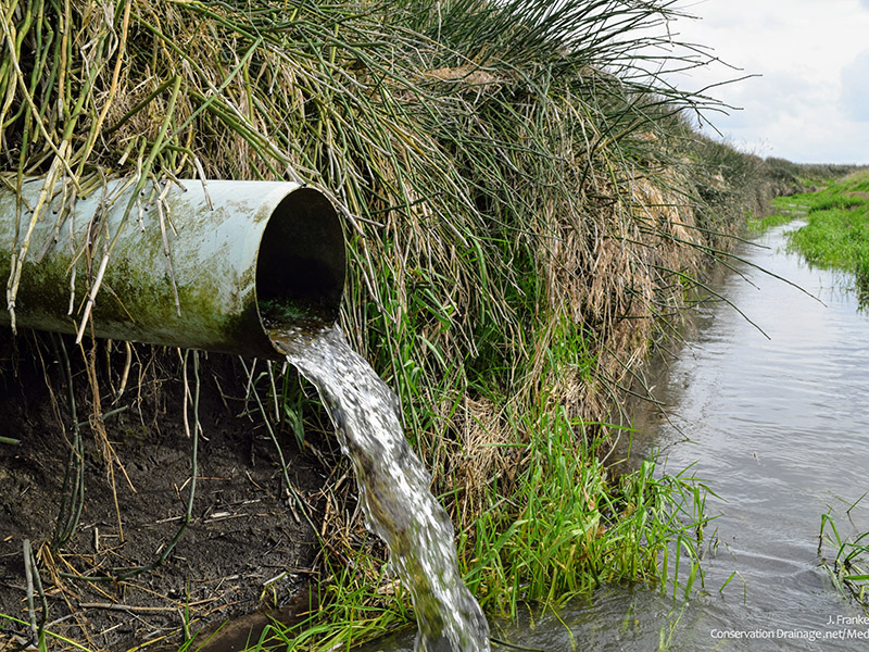 subsurface tile drain emptying water into a field ditch