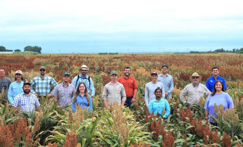 group of people standing in sorghum field