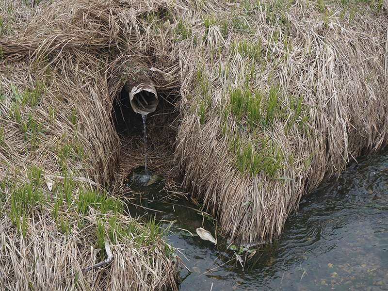 tile draining into stream