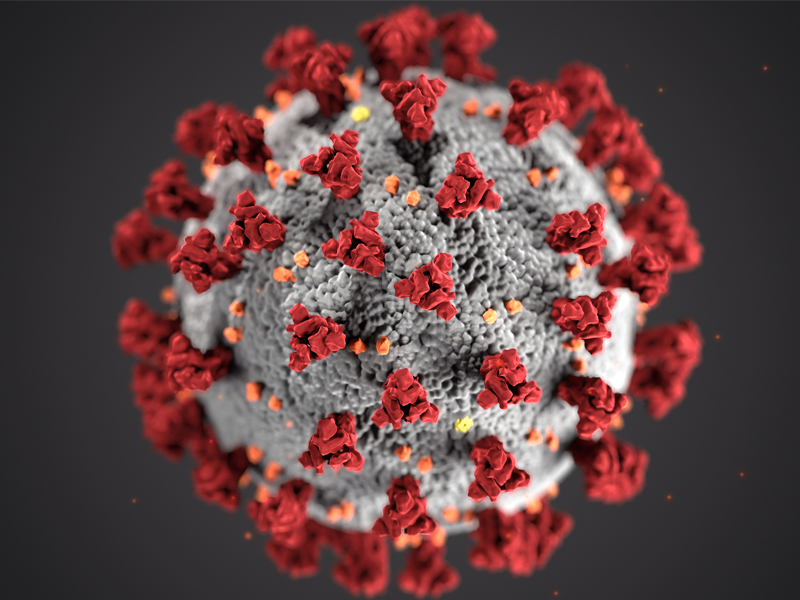 COVID-19 virus