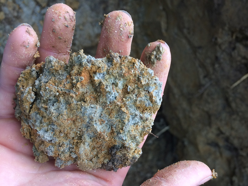 hand holding clump of grey and tan soil