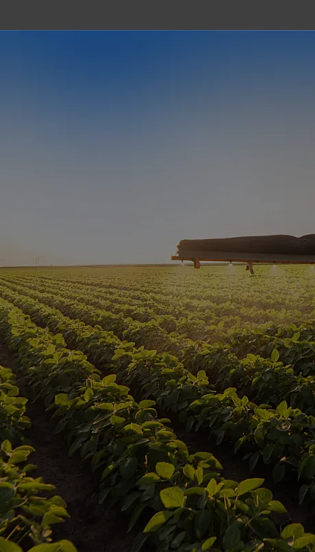 Farming equipment being used on crops