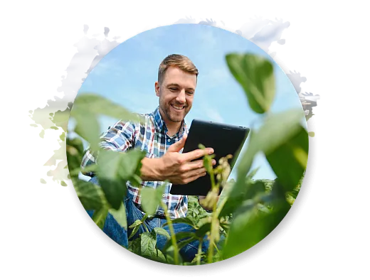 Man kneeling by crops with a tablet