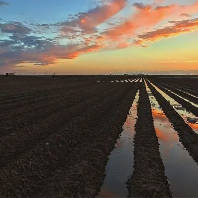 Moisture added to field